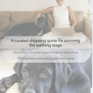 The Teething Toolkit